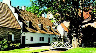 backaskog.jpg (37411 bytes)